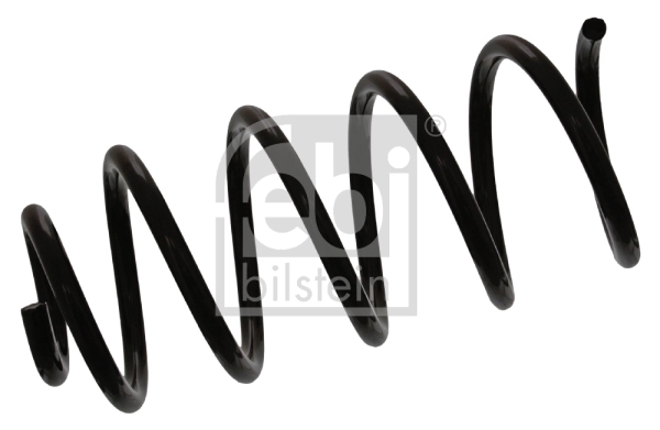 Suspension Spring